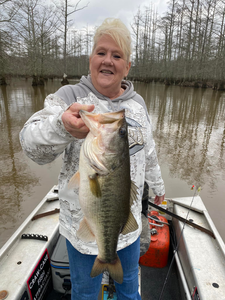 Catch of the day at Pickwick Lake: Bass!